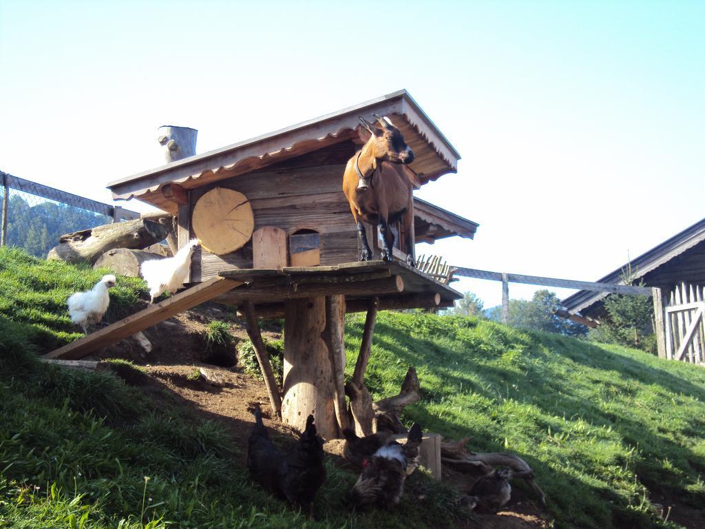 Appartements Gruenholz Itter Kültér fotó